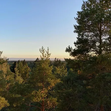 Apartment Spacious 68m2 With Fabulous Forest View And Aircon